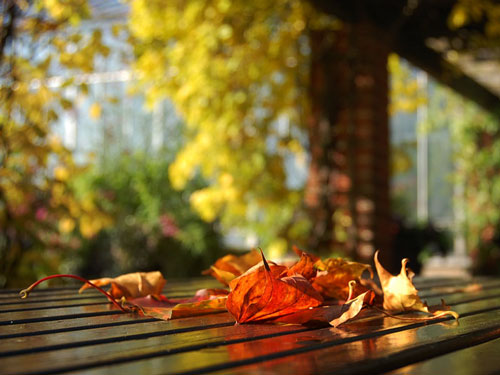Осенняя теплая осень